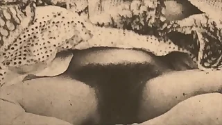 297 retro porn videos